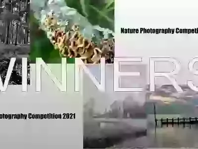 Nature Photography Competition Winners